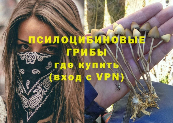 хмурый Семилуки