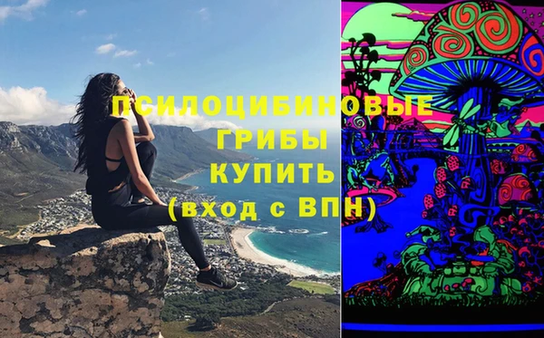 ПСИЛОЦИБИНОВЫЕ ГРИБЫ Абдулино