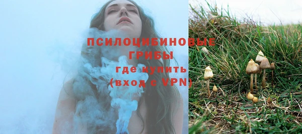 спиды Яблоновский