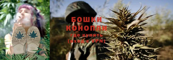 ПСИЛОЦИБИНОВЫЕ ГРИБЫ Абдулино