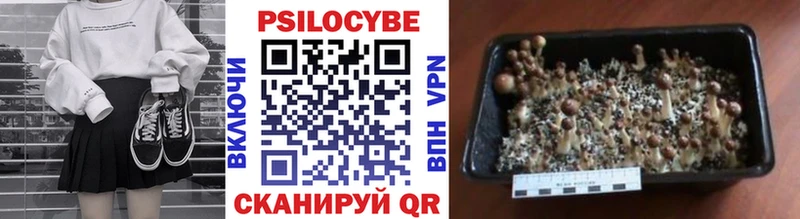 Псилоцибиновые грибы прущие грибы  Карасук 