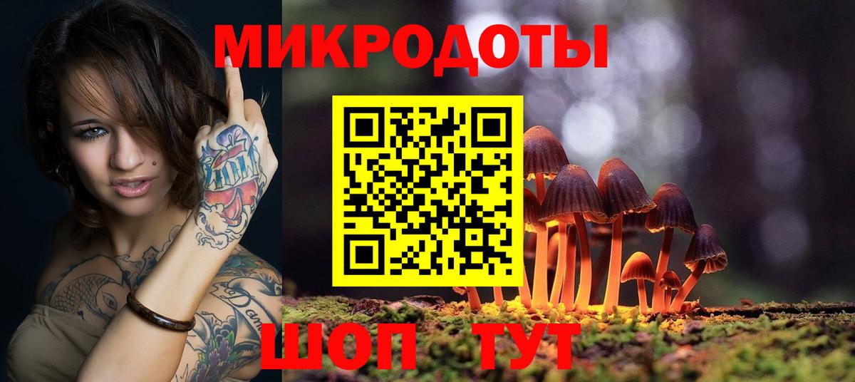 Псилоцибиновые грибы Psilocybine cubensis Карасук